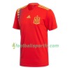 Tenue Espagne Domicile Coupe du monde 2018 Maillot de Foot
